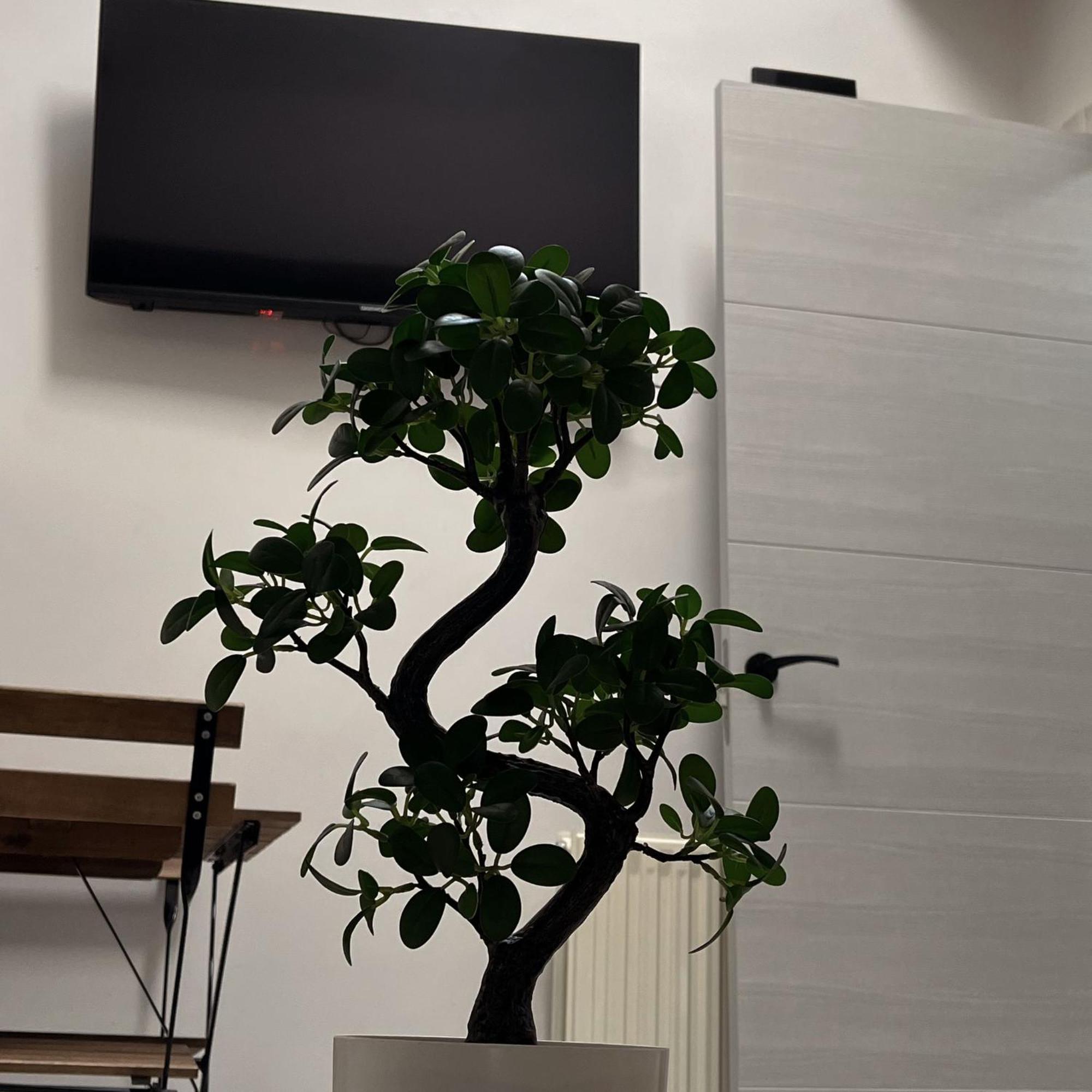Apartamento Calera Burgo Exteriér fotografie